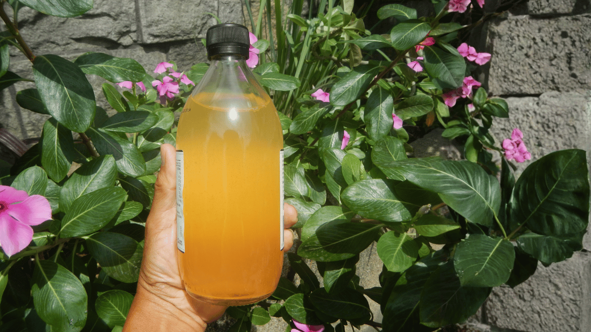 apple-cider-vinegar-bone-health