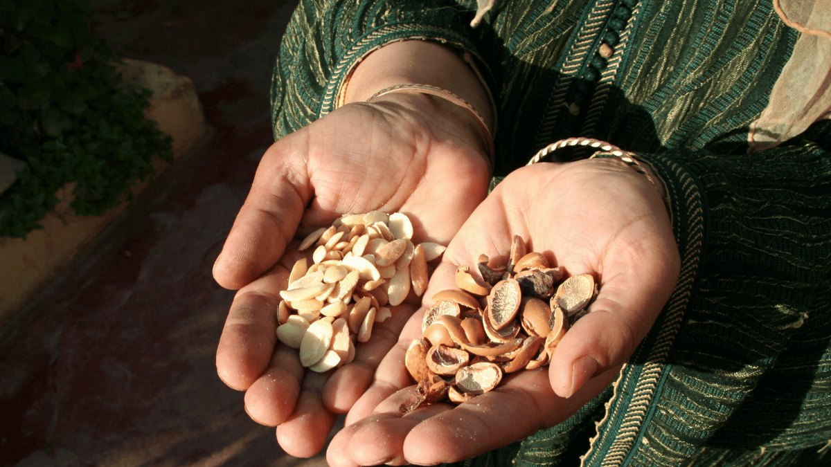 nuts-kidney-stone-prevention-benefits